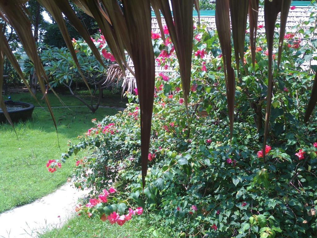 Ban Sabai Sabai Guest House Kanchanaburi Buitenkant foto